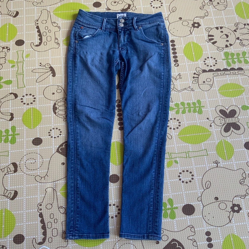 Hudson skinny Jeans